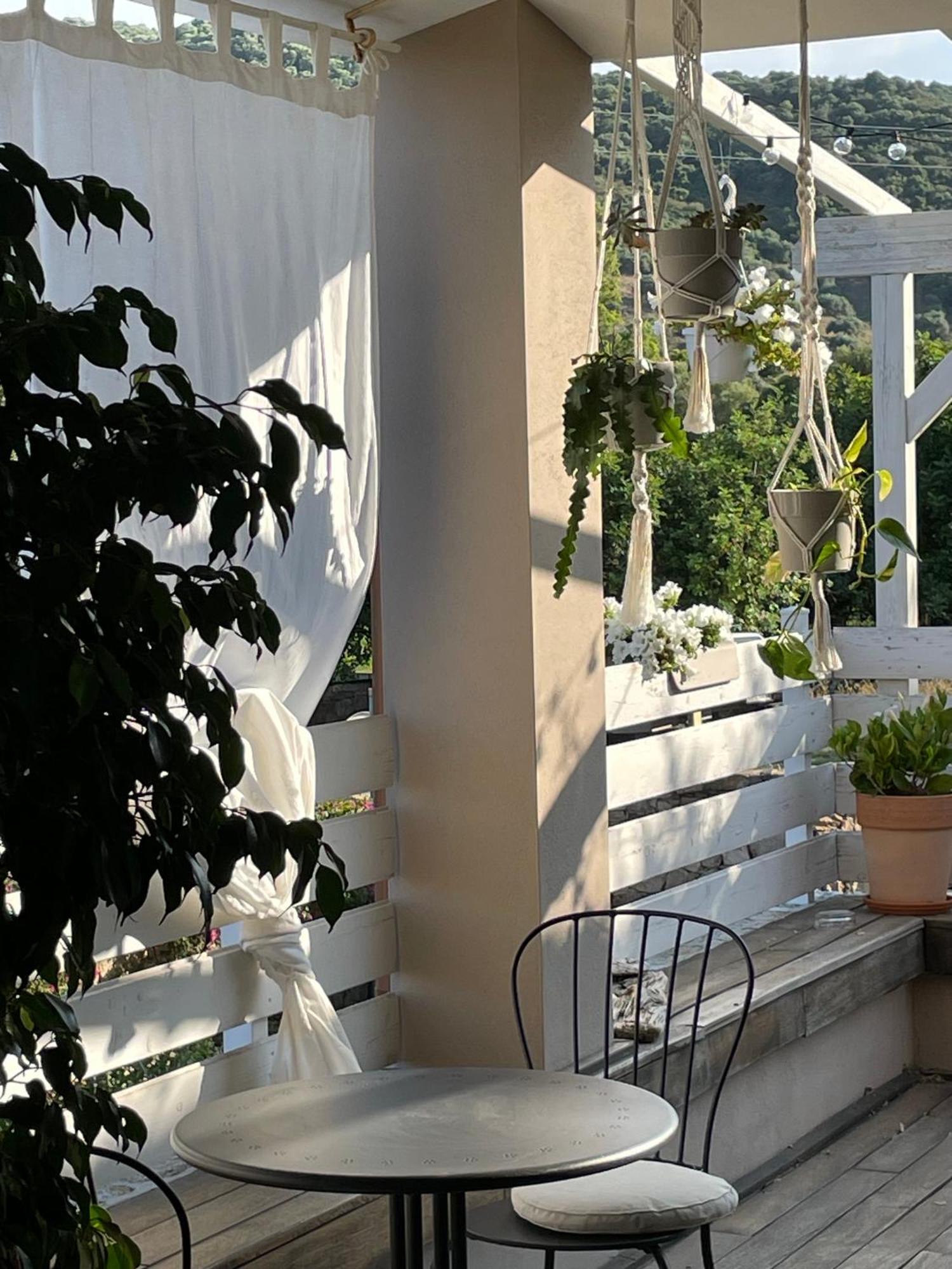 La Pecora Nera B&B Budoni Exteriér fotografie